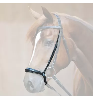 Nachrapnik hanoweski