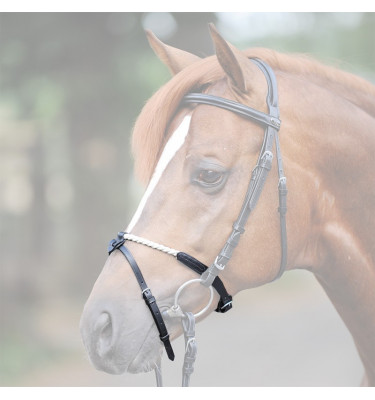 Nachrapnik sznurkowy 