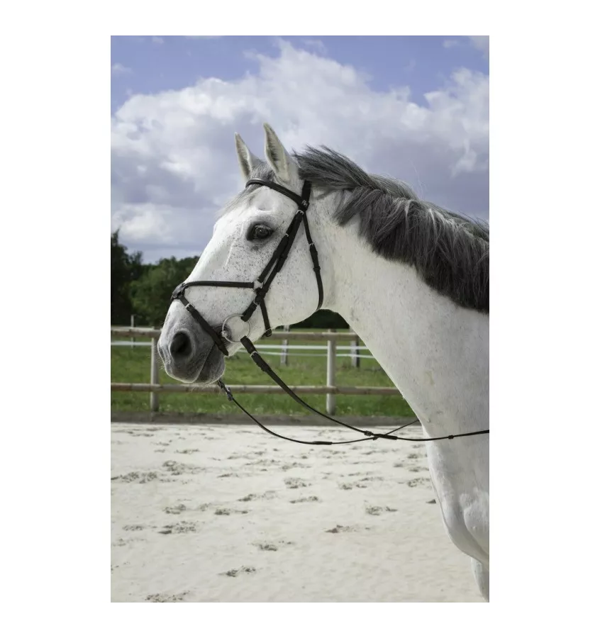 Ogłowie meksykańskie Croise