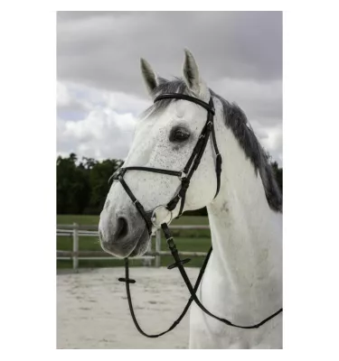 Ogłowie meksykańskie Croise