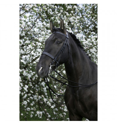 Ogłowie munsztukowe