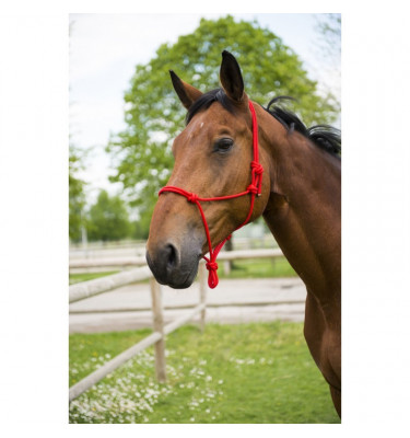 Kantar sznurkowy First