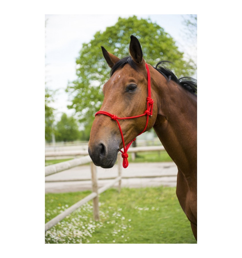 Kantar sznurkowy First