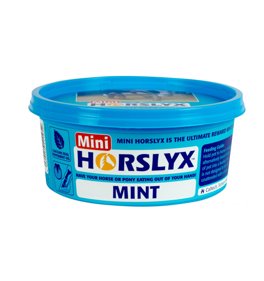 Lizawka Horslyx Mint 650g