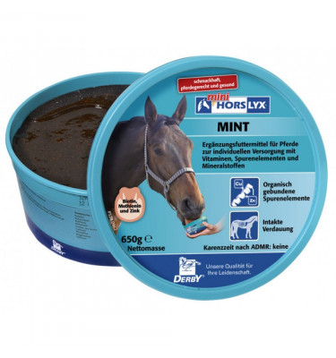 Lizawka Horslyx Mint 650g