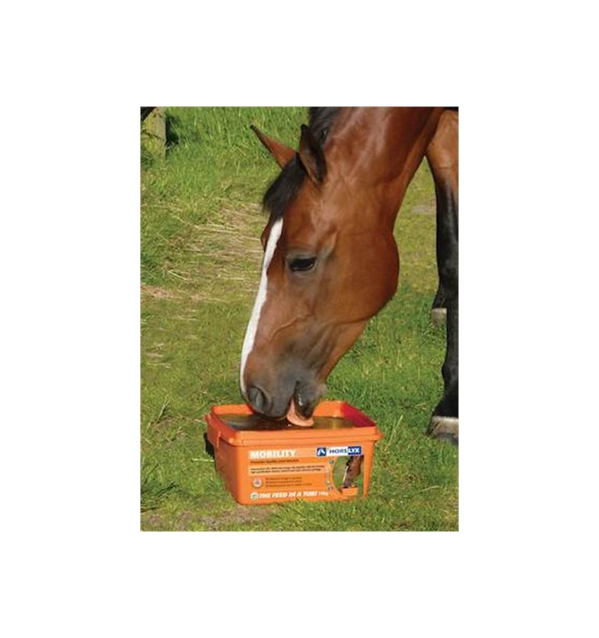 Lizawka Horslyx Mobility 5kg