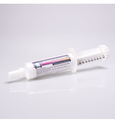 Muskulus regeneracja mięśni, 100 ml