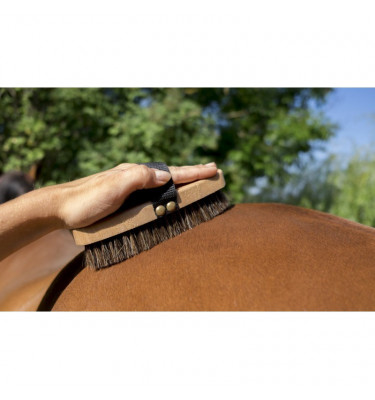 Szczotka Hippotonic Extra Soft Brush