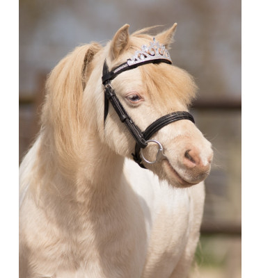 Korona