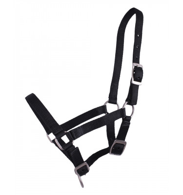 Kantar dla źrebaka full, pony, shetty