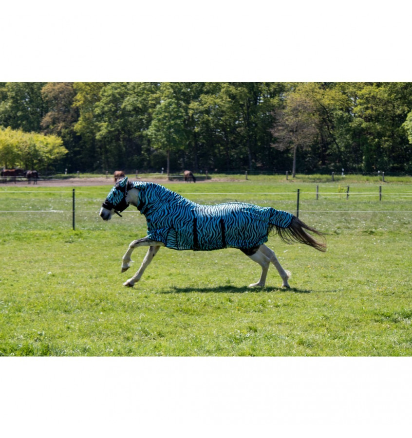 Derka siatkowa z kapturem zebra Aqua