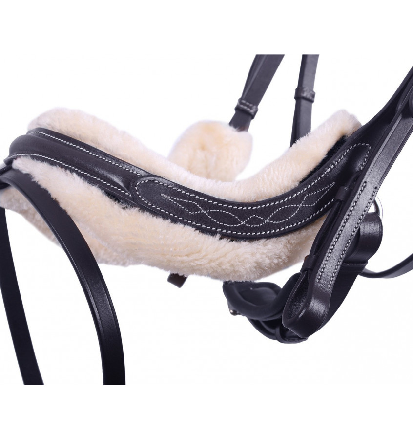 Ogłowie Ontario czarne cob