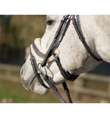 Ogłowie Ontario czarne cob