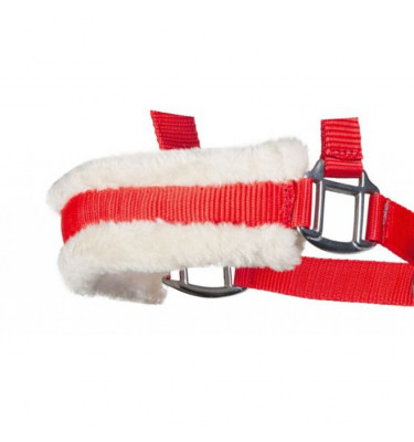 Kantar Bischofshofen