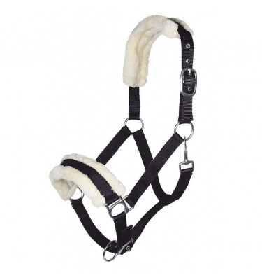 Kantar Bischofshofen