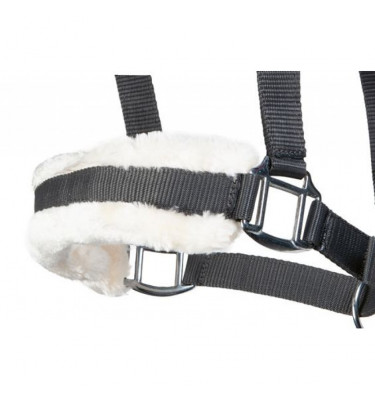 Kantar Bischofshofen