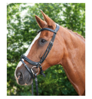 Ogłowie Anatomic brąz cob