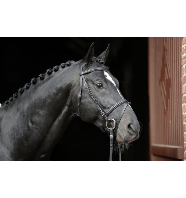 Ogłowie Standard czarny cob