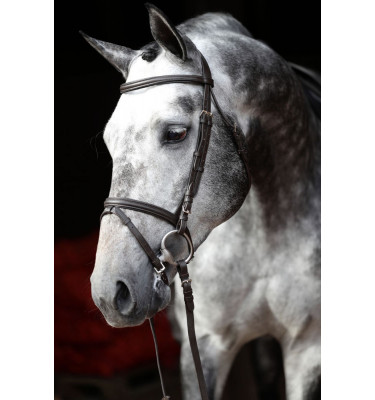 Ogłowie Standard czarny cob