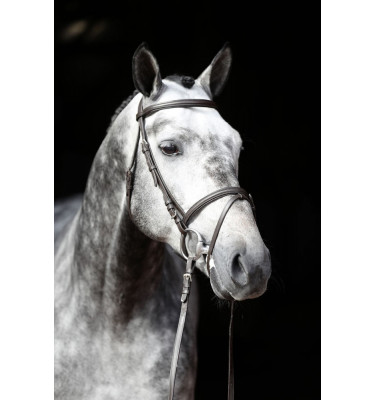 Ogłowie Standard czarny cob