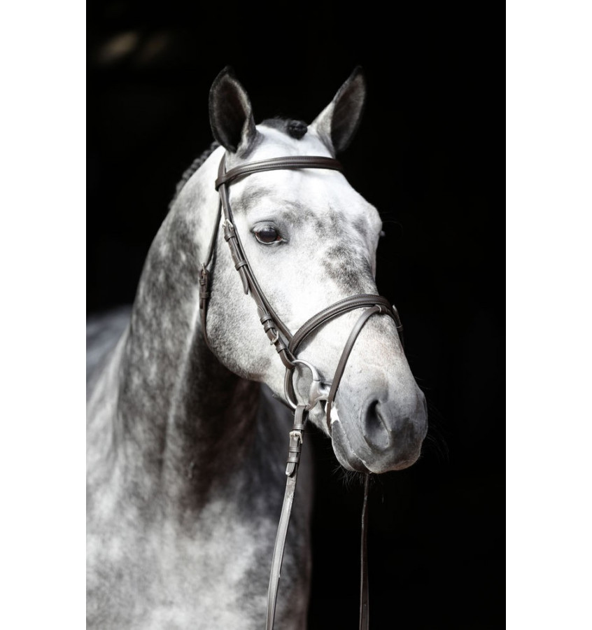 Ogłowie Standard czarny cob