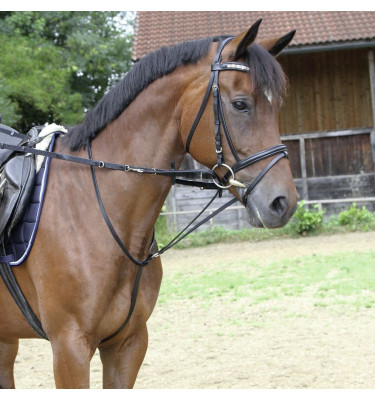 Wodza Thiedemanna full