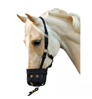 Kaganiec z kantarem, cob