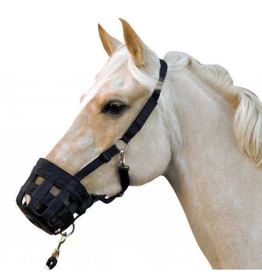 Kaganiec z kantarem, cob