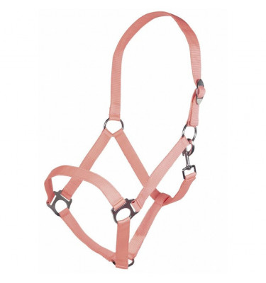 Kantar Stars Economy koral cob