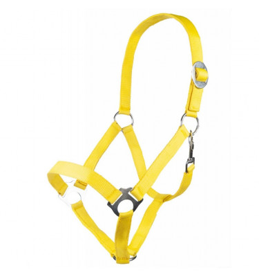 Kantar Stars Economy koral cob