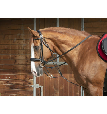 Gogue Norton czarny full