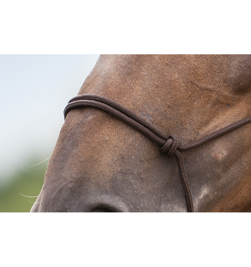 Kantar sznurkowy Norton brąz