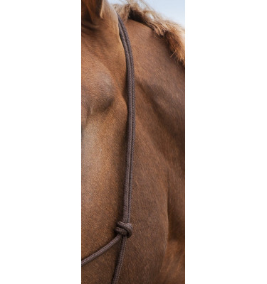 Kantar sznurkowy Norton brąz