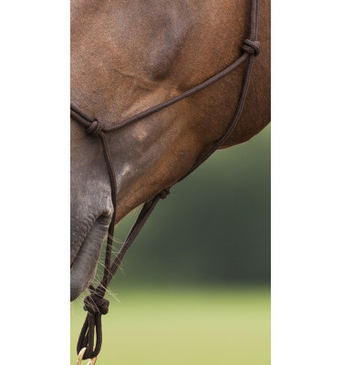Kantar sznurkowy Norton brąz