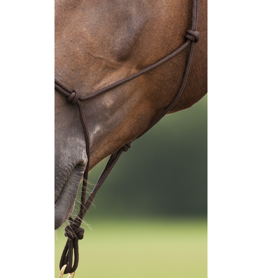 Kantar sznurkowy Norton brąz