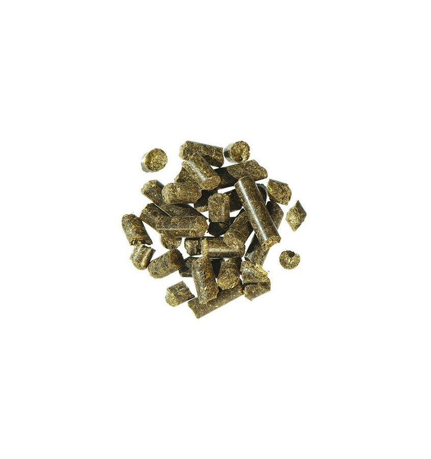 Agrobs AlpenGrun Pellet - 60 gratunków traw i ziół