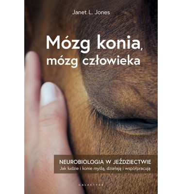 Książka Mózg konia, mózg człowieka