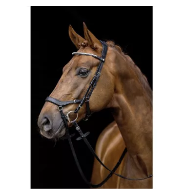 Ogłowie Pro Anatomic czarne cob