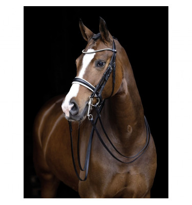 Ogłowie munsztukowe Dina cob