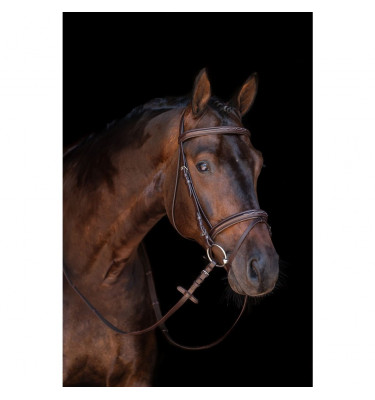 Ogłowie Jana czarne cob