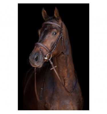 Ogłowie Jana czarne cob