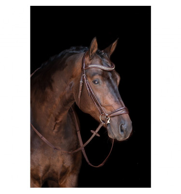 Ogłowie Carolin czarne cob