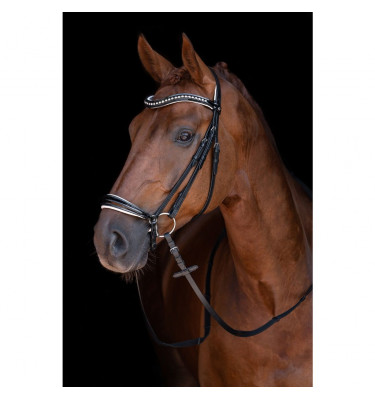 Ogłowie Carolin czarne cob