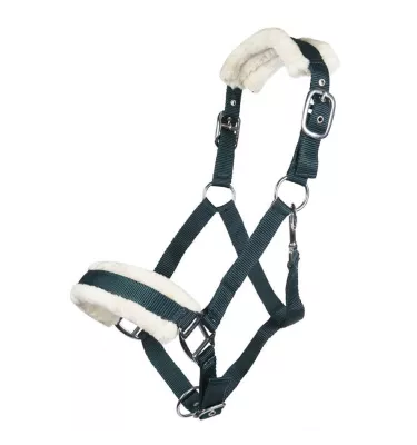 Kantar Bischofshofen beżowy cob