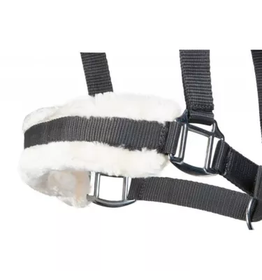 Kantar Bischofshofen beżowy cob