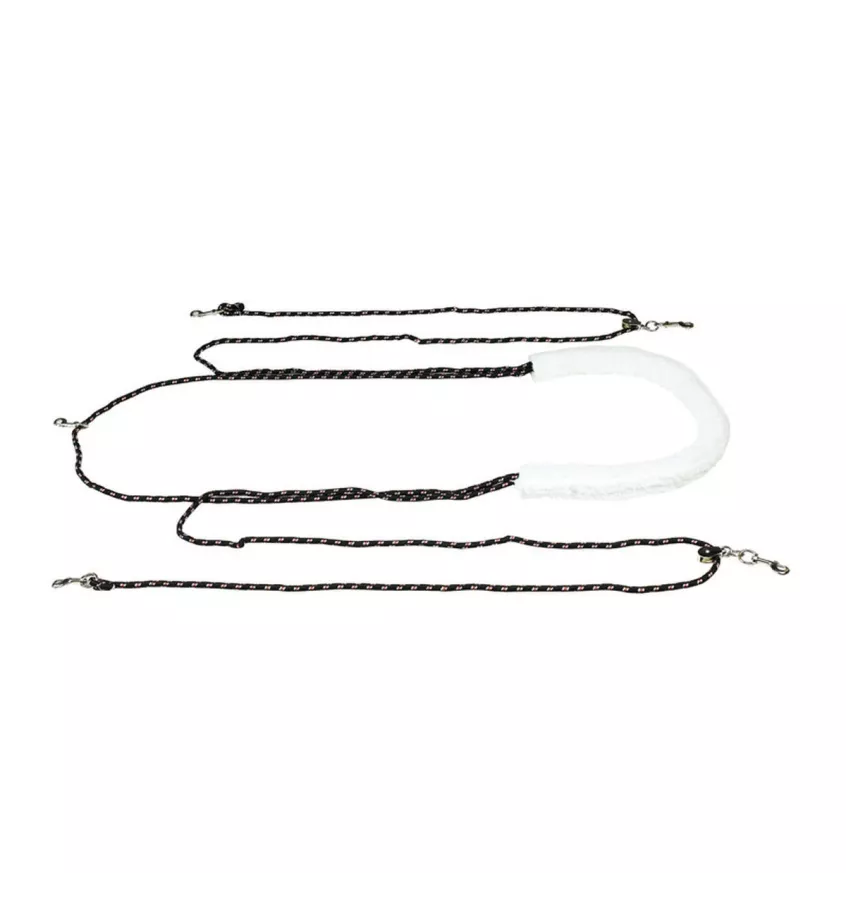 System do lonżowania typu Pessoa