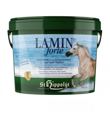 Lamin Forte na odporność 3kg