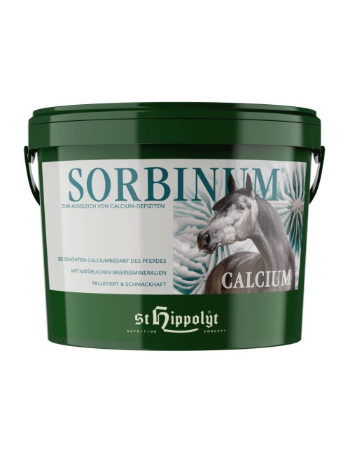 Calcium Sorbinum - wapno 10 kg