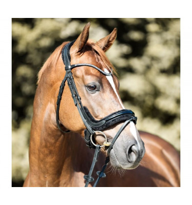 Ogłowie Ivella czarny cob