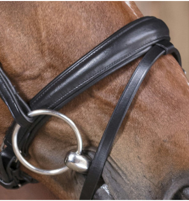 Ogłowie NORTON PRO SOFT czarny cob